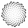 Conifer logo