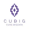 CUBIG logo