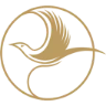 General Reasoning logo