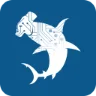 Hammerhead logo