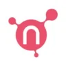 Netris logo