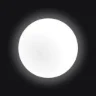 White Circle logo